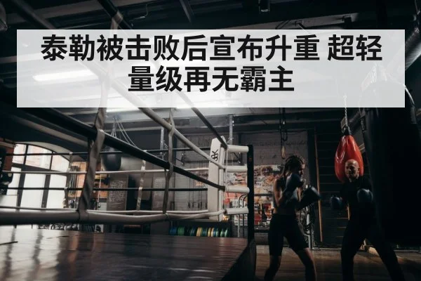boxer training