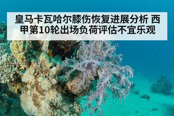 皇马卡瓦哈尔膝伤恢复进展分析 西甲第10轮出场负荷评估不宜乐观